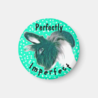 Magnet Spaß inspirierend Bunny
