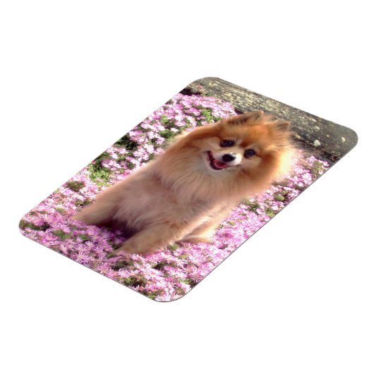 Magnet | Spitz mit rosa Blume (Linke Seite)