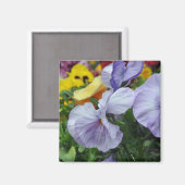 Magnet: Stiefmütterchen Magnet (Vorderseite/Rückseite)