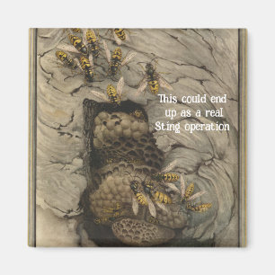 Magnet "Sting Operation"