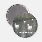 Magnet Swans Schwimmen, I Liebe Swans (Vorderseite/Rückseite)