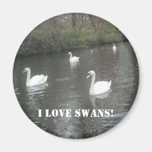 Magnet Swans Schwimmen, I Liebe Swans