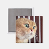 Magnet Talking Cats Meme (Vorderseite/Rückseite)