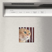 Magnet Talking Cats Meme (In Situ (Geschirrspüler))