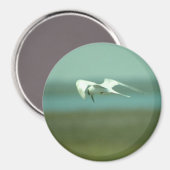 Magnet - Tern im Flug (Vorderseite/Rückseite)