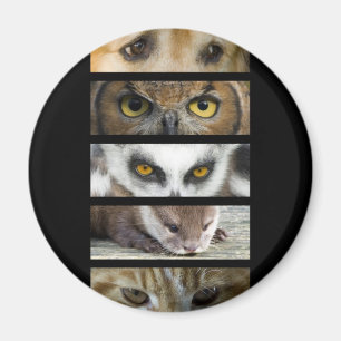 Magnet - Tier-Augen