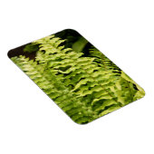 Magnet - Tiger Fern (Rechte Seite)