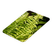 Magnet - Tiger Fern (Linke Seite)