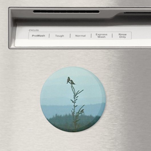 Magnet - Top of World (In Situ (Geschirrspüler))