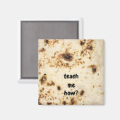 Magnet Tortilla Küche (Vorderseite/Rückseite)