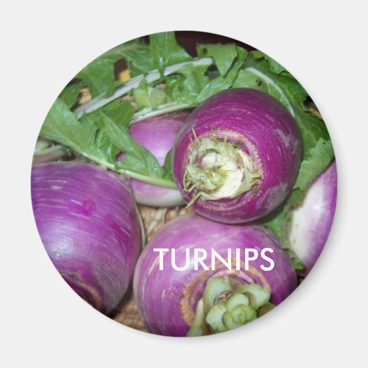 Magnet/Turnips Magnet (Vorne)
