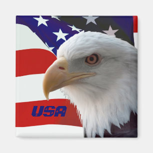 Magnet USA Eagle