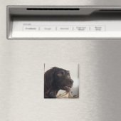 Magnet Verwirrte Dog Meme (In Situ (Geschirrspüler))