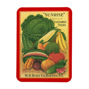 Magnet Vintage Antik Garten Samen Packet Erbstück