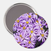 Magnet - violette Blumen (Vorderseite/Rückseite)