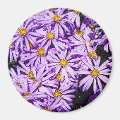 Magnet - violette Blumen (Vorne)