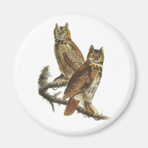 Magnet: Virginia-Uhu durch John James Audubon Magnet