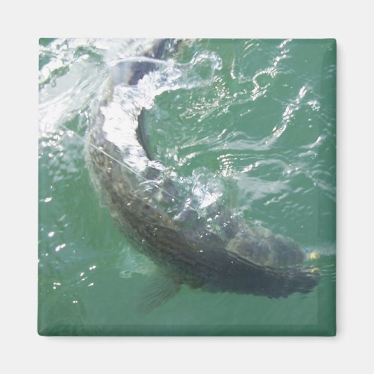 Magnet-Vorlage Magnet (Vorne)