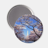 Magnet / Washington Monument (Vorderseite/Rückseite)