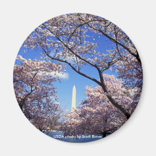 Magnet/Washington-Monument Magnet