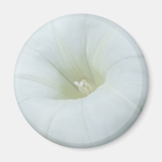 Magnet "White Blume Centre" (Vorne)