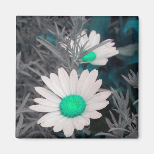Magnet "White Daisy" (w Green) (Vorne)