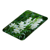 Magnet "White Snapdragon Blume" (Linke Seite)
