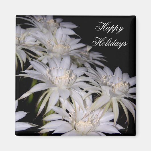 Magnet-White Weihnachtskaktus Happy Holidays Magnet (Vorne)