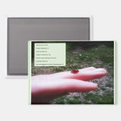 magnet -who we are in Christ (Vorderseite/Rückseite)