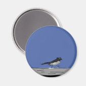 Magnet "Willy Wagtail" (Bue) (Vorderseite/Rückseite)