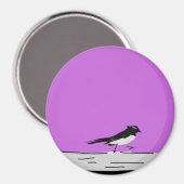 Magnet "Willy Wagtail" (rosa) (Vorderseite/Rückseite)