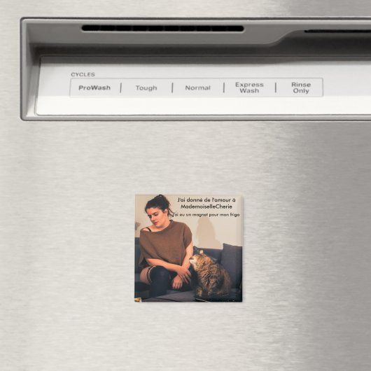 Magnet - Woche 4 (In Situ (Geschirrspüler))