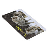 Magnet-Yellowstone Wolf Magnet (Rechte Seite)