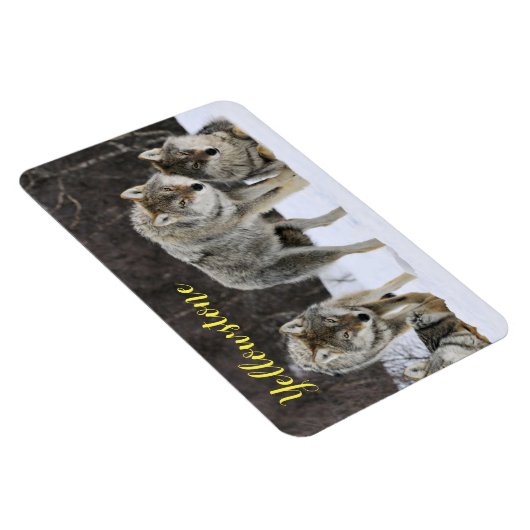 Magnet-Yellowstone Wolf Magnet (Rechte Seite)