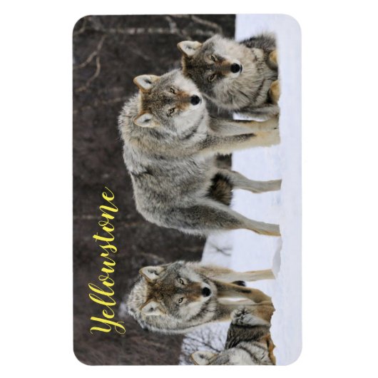 Magnet-Yellowstone Wolf Magnet (Vertikal)