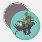 Magnet | Zwei Katzen liegen mit einer Pflanze zusa (Vorderseite/Rückseite)
