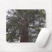Magnetbaum Mousepad (Mit Mouse)