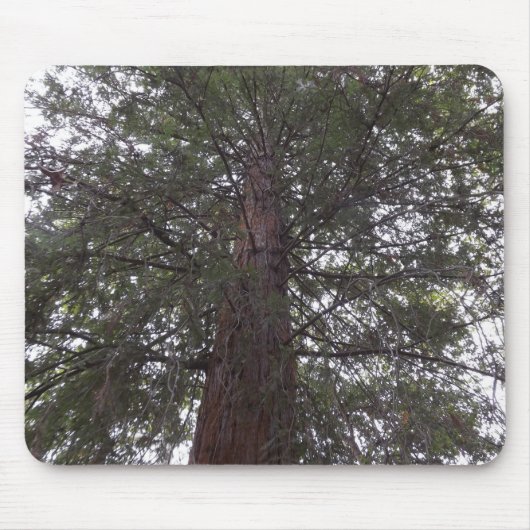 Magnetbaum Mousepad (Vorne)