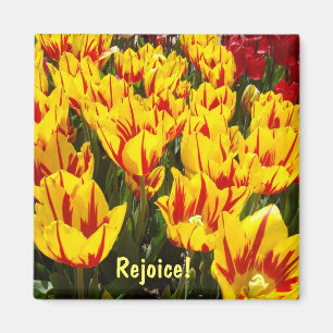 Magnete freuen Ostertulips-Blume-Magnet Magnet