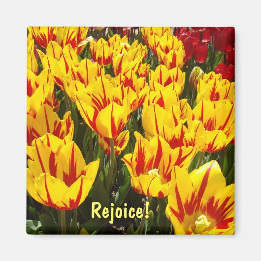 Magnete freuen Ostertulips-Blume-Magnet Magnet (Vorne)