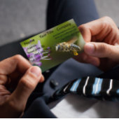 Magnete für Hummel-Visitenkarten