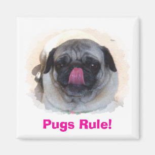 Magnete für Personalisiertes Foto Magnet
