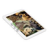 Magnete kenya große fünf (Rechte Seite)