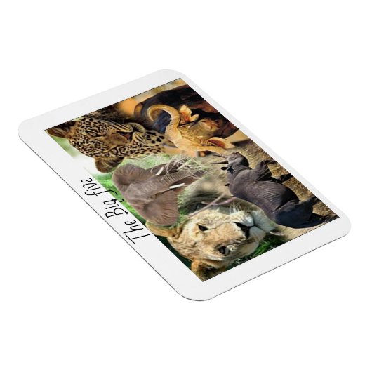 Magnete kenya große fünf (Rechte Seite)