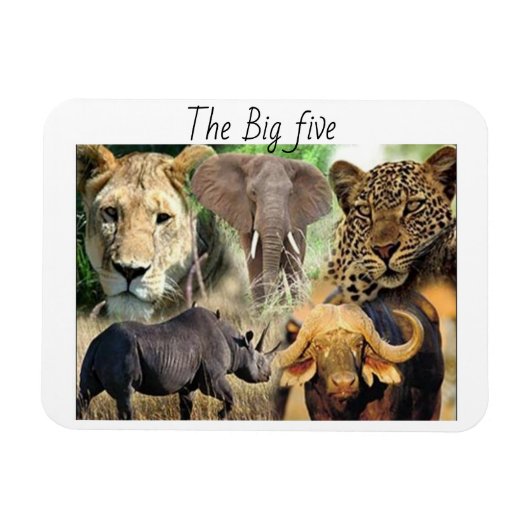 Magnete kenya große fünf (Horizontal)