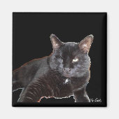 Magnete Magnet (Vorne)