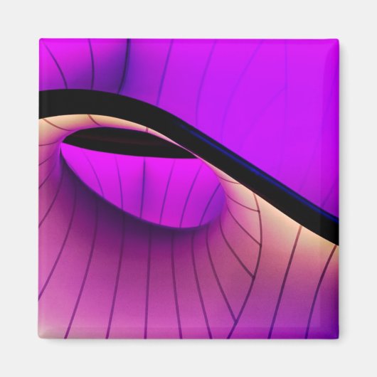 Magnete, Magnete, Kühlschrankmagnet, Magnetkunst,  Magnet (Vorne)