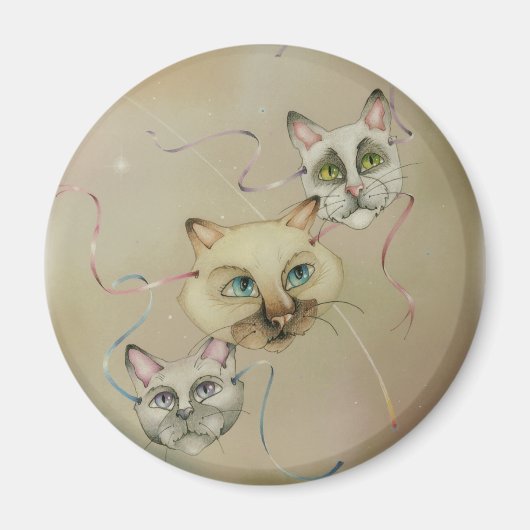 Magnete - Was ist das? Magnet (Vorne)