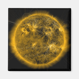 Magnetfeldlinien auf dem Sun Magnet