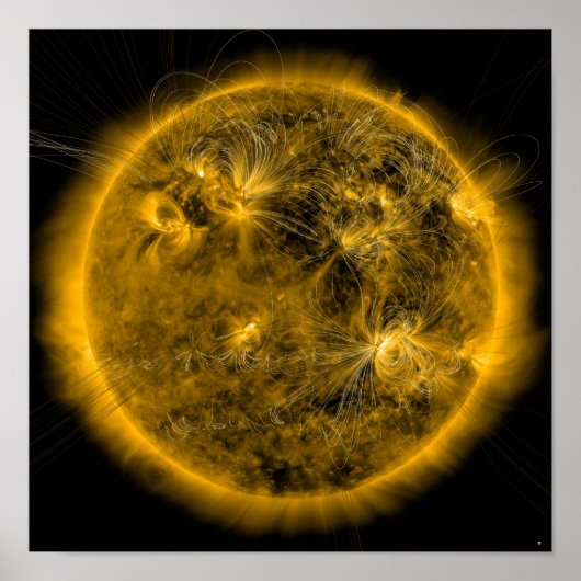 Magnetfeldlinien auf der Sonne Poster (Vorne)